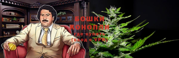 крисы Баксан