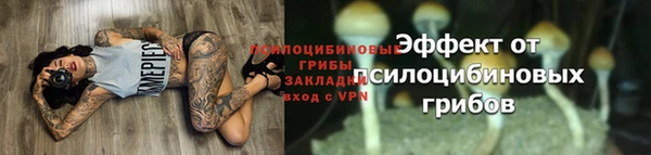 крисы Баксан