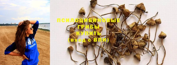крисы Баксан
