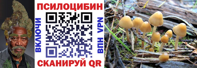 Псилоцибиновые грибы мухоморы  купить наркотик  Красноперекопск 
